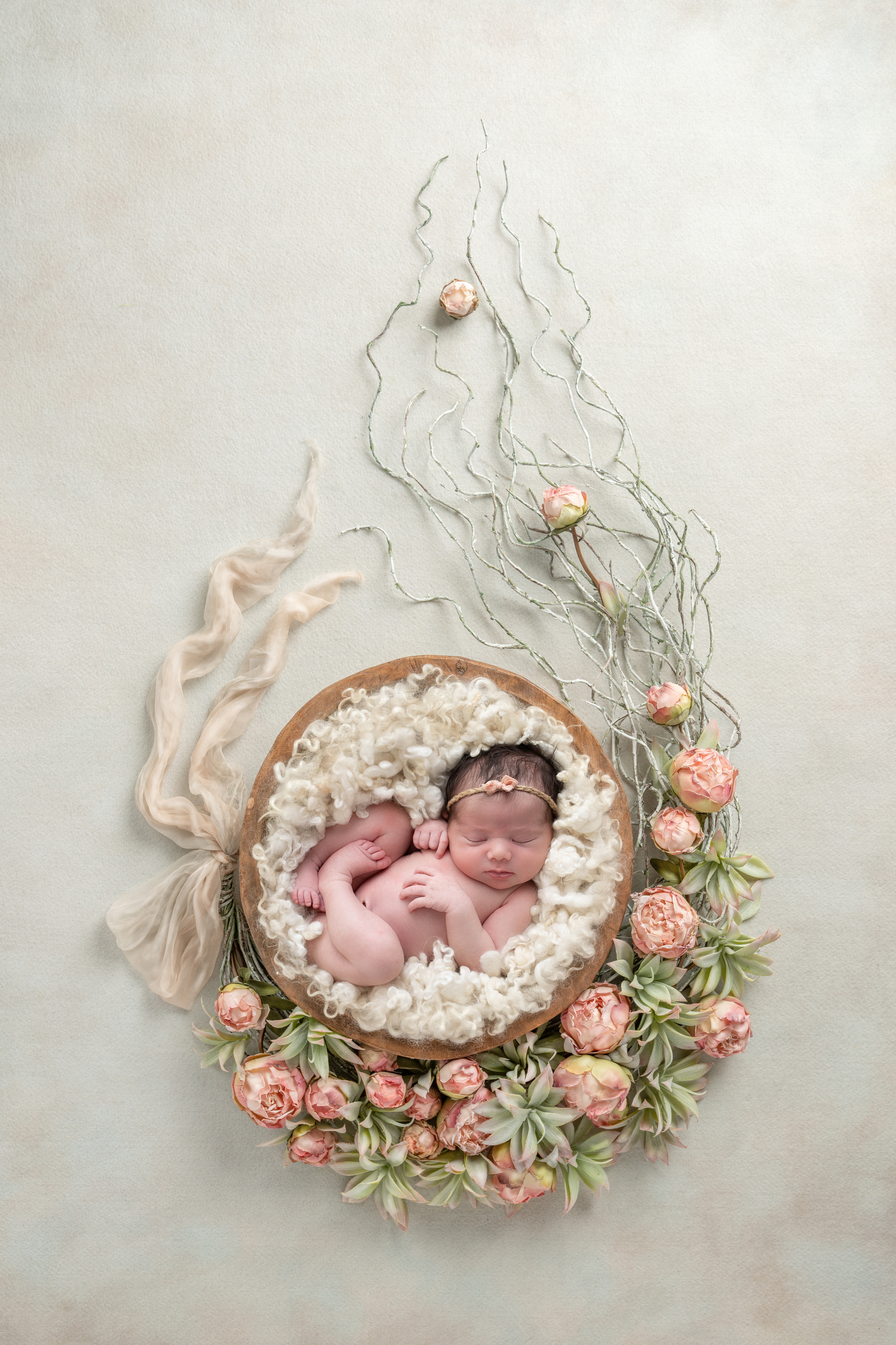 Dreaming in a Nest of Feathers
